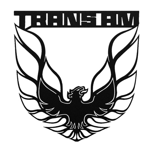 PONTIAC FIREBIRD TRANS AM METAL WALL ART SIGN & GIFT DECOR CLASSIC MUSCLE