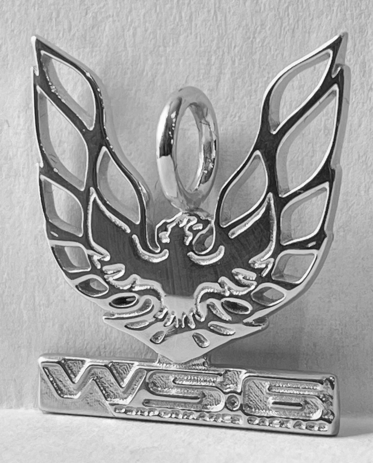 WS6 Trans Am Firebird Pendant Charm 10K Gold, Brass or Silver