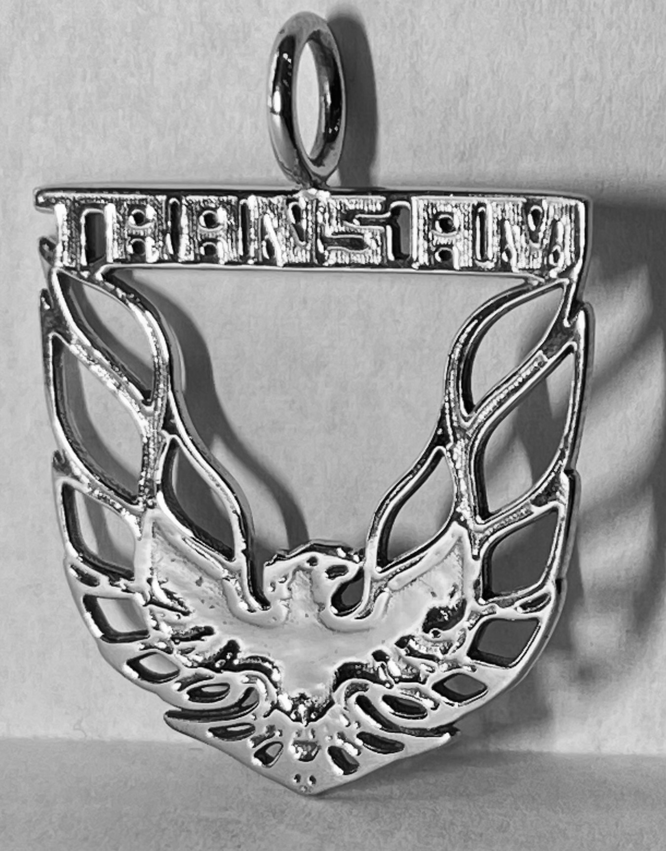 Trans Am Pendant Charm Necklace Firebird Gift 10K Gold,Silver Or Brass